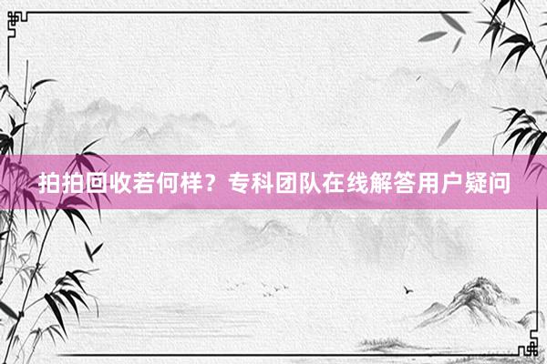 拍拍回收若何样？专科团队在线解答用户疑问